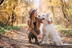 Quel chien choisir si j’aime le grand air et l’activité physique ?