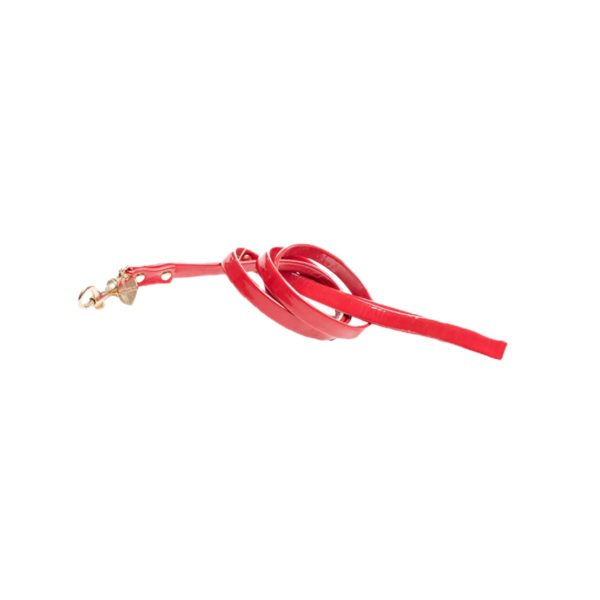 Inamorada lais rouge pour chien petite race