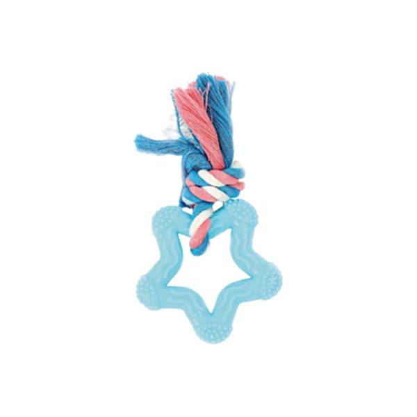 Jouet chiot Star Teether